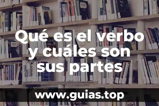 Que es el aborto cuales son los tipos que hay 3 Qué es el verbo y cuáles son sus partes