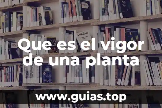 Que es mejor que tener una ingenieria 3 Que es el vigor de una planta