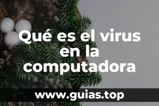 Qué es un la clasificación de los virus de computadora 3 Qué es el virus en la computadora