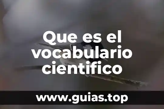 Que es ciencia en pensamiento cientifico 5 Que es el vocabulario cientifico