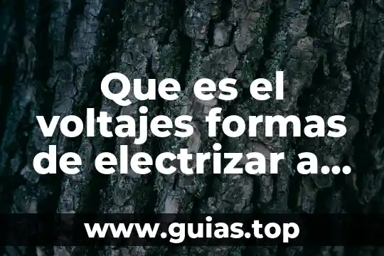 Qué es la auditoria y tipos 8 Que es el voltajes formas de electrizar a un cuerpo