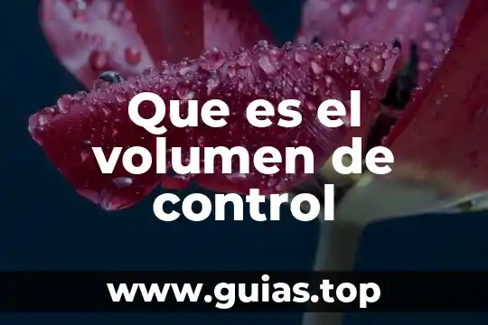 Que es lbs en kid control 4 Que es el volumen de control