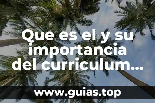 Que es el razonamiento definicion importancia y tipos de razonamiento 6 Que es el y su importancia del curriculum vitae