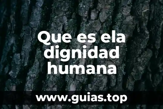 Qué es un trazo en la figura humana 4 Que es ela dignidad humana