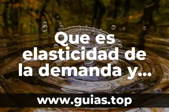 Que es la elasticidad en economia tipos 6 Que es elasticidad de la demanda y tipos
