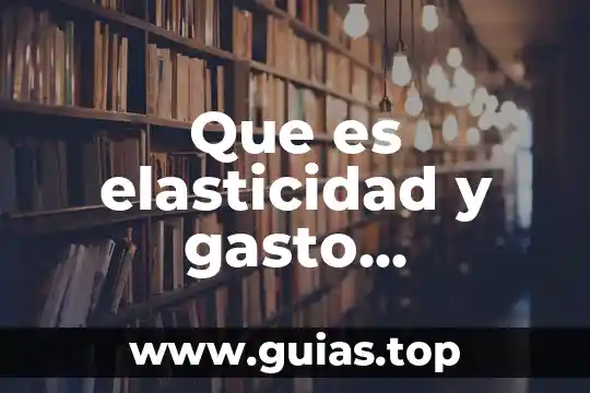 Que es la elasticidad en economia tipos 5 Que es elasticidad y gasto economia