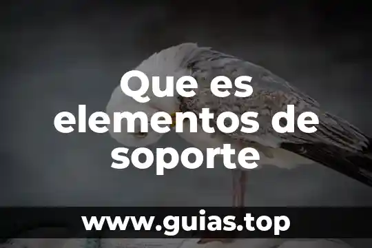 Qué es la manga elementos 6 Que es elementos de soporte