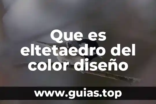 Que es el diseño de la planta en administracion 8 Que es eltetaedro del color diseño