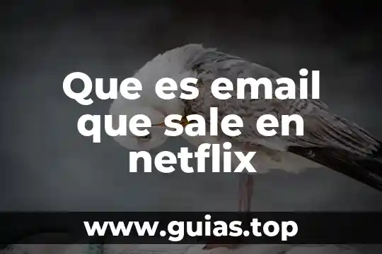 Cuanto le costó a netflix ser lo que es 4 Que es email que sale en netflix