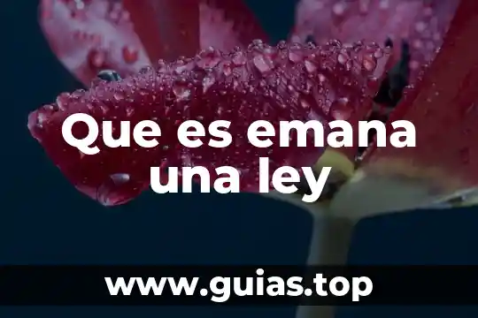 Que es un anaque l y tipos de anaqueles 6 Que es emana una ley