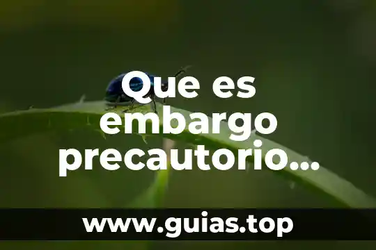 Qué es el principio precautorio y cuándo se aplica 4 Que es embargo precautorio gravamen en materia mercantil