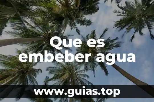 Que es un skid en una planta tratadora de agua 7 Que es embeber agua