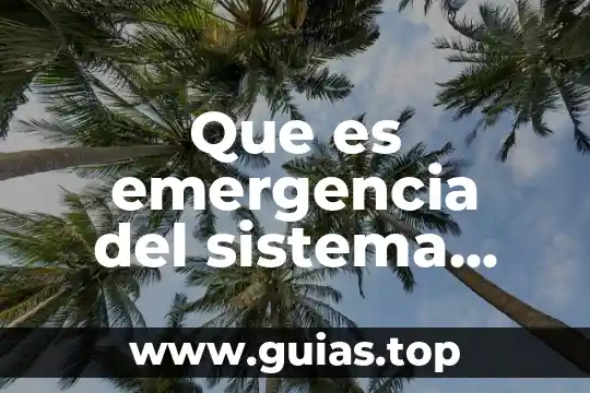 Que es una planta de emergencia y para que sirve 3 Que es emergencia del sistema mundial