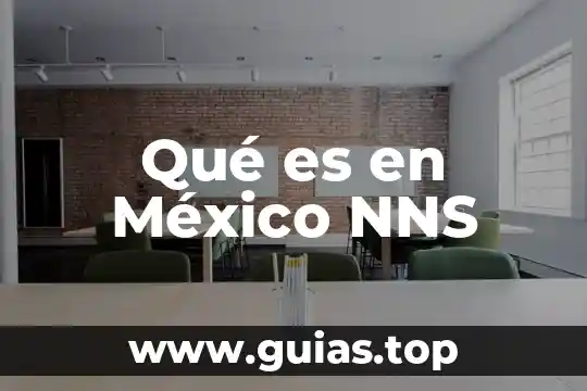 Qué es en México NNS