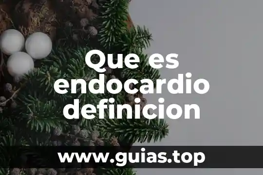Qué es y definición de manejan 5 Que es endocardio definicion
