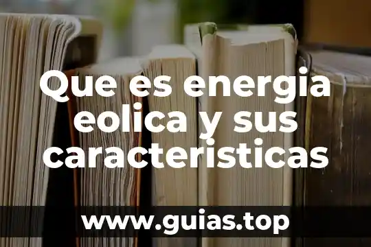 Que es un recinto fiscalizado estrategico caracteristicas 3 Que es energia eolica y sus caracteristicas