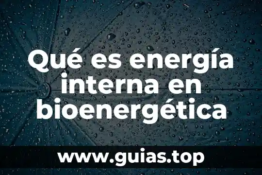 Que es la energia de flujo hidroestatica 3 Qué es energía interna en bioenergética