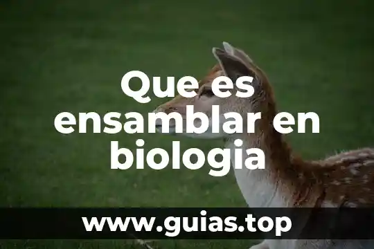 Qué es filética en biología 5 Que es ensamblar en biologia