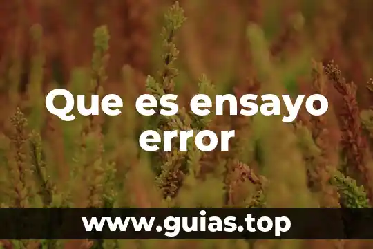 Línea de distribución de agua qué es 7 Que es ensayo error