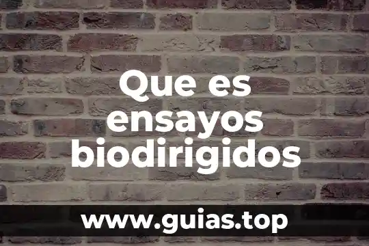 En términos bíblicos que es la vanagloria 6 Que es ensayos biodirigidos