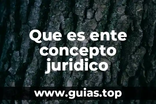 Que es un analisis juridico 8 Que es ente concepto juridico