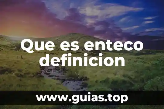 Que es una prueba 300 en sangre 6 Que es enteco definicion