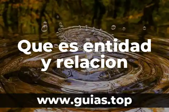 Qué es la relación hipótesis y supuesto jurídico 4 Que es entidad y relacion