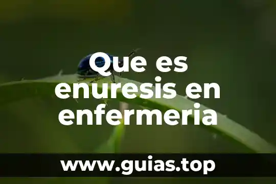 Qué es una clase concepto enfermeria 7 Que es enuresis en enfermeria