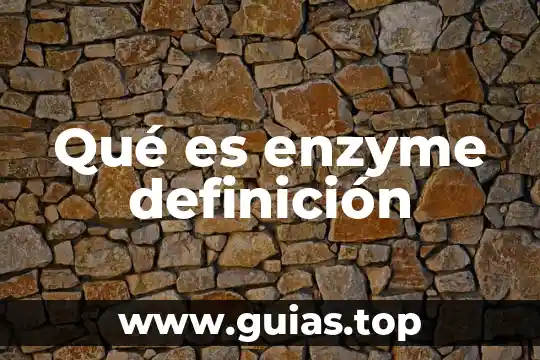 Qué es duopolio definición 5 Qué es enzyme definición