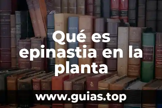 Que es una ciudad social 6 Qué es epinastia en la planta