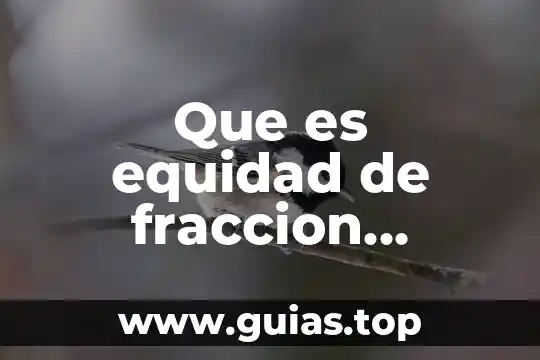Matematicas que es multiplo de un número 3 Que es equidad de fraccion matematicas