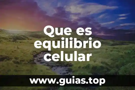 Qué es la biología celular y molecular concepto 8 Que es equilibrio celular