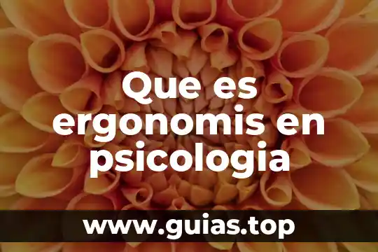 Qué es psicología pragmática 3 Que es ergonomis en psicologia