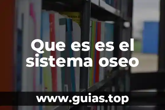 Que es el sistema oseo y como funciona 7 Que es es el sistema oseo