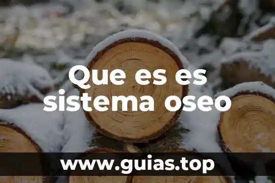 Que es el sistema oseo y como funciona 8 Que es es sistema oseo