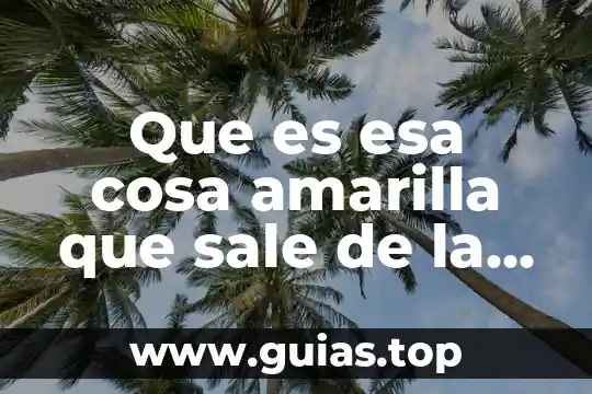 Que es esa cosa llamada ciencia sintesis 3 Que es esa cosa amarilla que sale de la boca