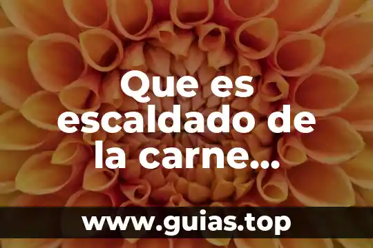 Que es color definicion para niños 3 Que es escaldado de la carne definicion