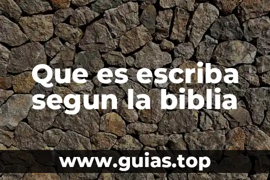 Que es la administracion segun da silva 8 Que es escriba segun la biblia