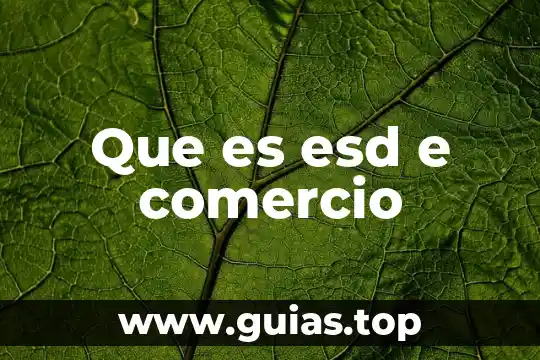 Que es un auto comercio 5 Que es esd e comercio