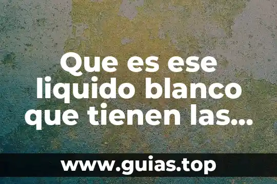 Para que es una planta hidroelectrica 6 Que es ese liquido blanco que tienen las plantas