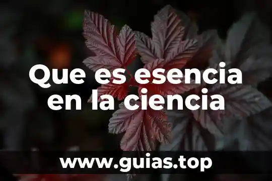 Que es una carta gantt definicion 5 Que es esencia en la ciencia