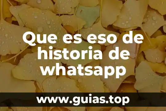 Por que es una red social whatsapp 6 Que es eso de historia de whatsapp