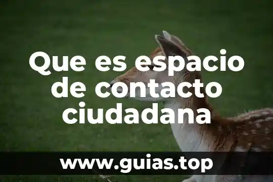 Que es un talisman del espacio 4 Que es espacio de contacto ciudadana