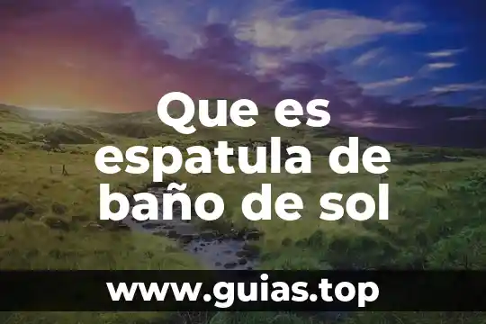 Fer in sol para que es 5 Que es espatula de baño de sol