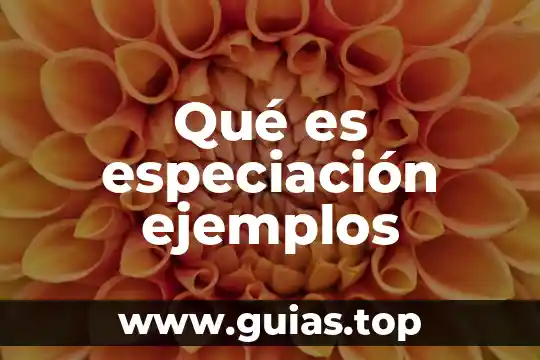 Que es la realidad aumentada ejemplos 6 Qué es especiación ejemplos