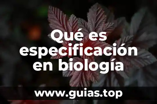 Por que es posible ver la estrella mas proxima 7 Qué es especificación en biología