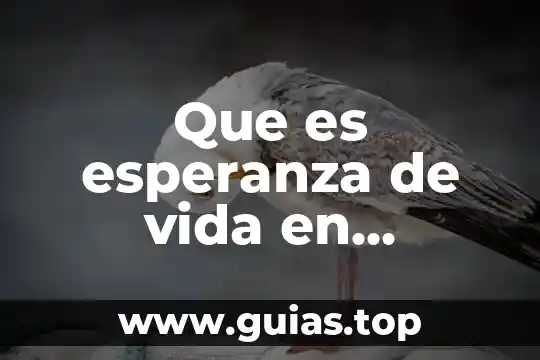 Que es demografia en la salud 3 Que es esperanza de vida en ciencias de la salud