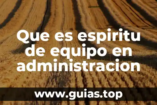 Que es ser de espiritu competitivo 4 Que es espiritu de equipo en administracion