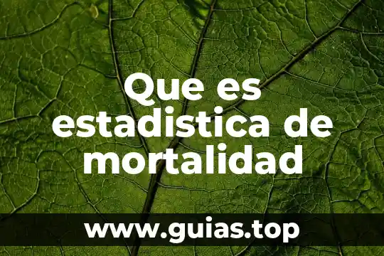 Que es mortalidad movimientos migratorios 5 Que es estadistica de mortalidad