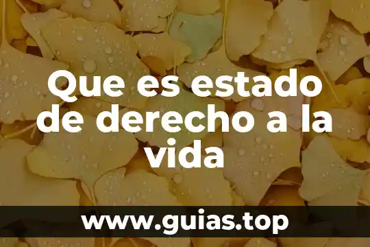 Que es la coordinacion de archivos concepto y funciones 4 Que es estado de derecho a la vida